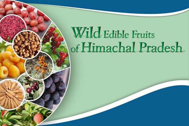 Wild Edible Fruits of Himachal Pradesh.pdf