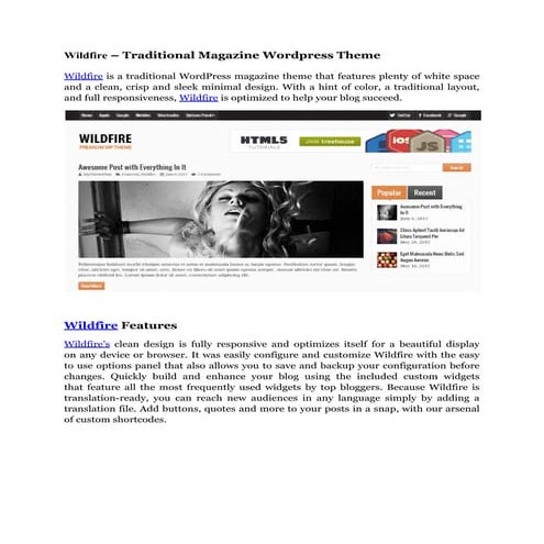 Simpleton lightweight & minimalist wordpress theme | PDF