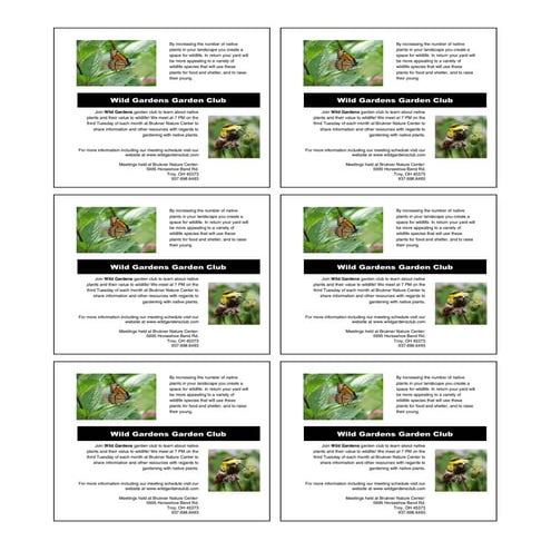 Gardening with Native Plants - Troy, Ohio