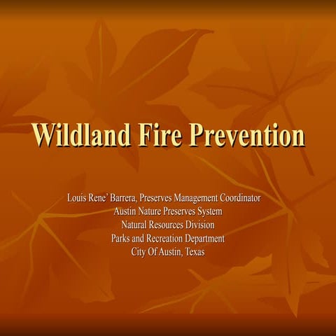 Wildland Fire Prevention Rev 1