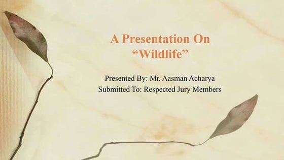 Wildlife presentation | PDF | Zoos & Aquariums | Attractions