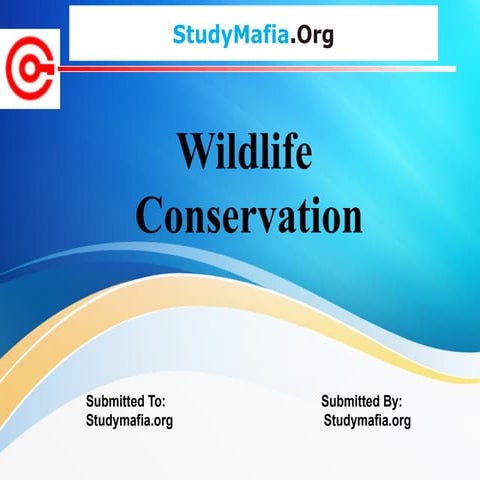 Presentation on nature and wildlife conservation | PPTX