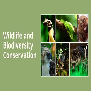 Wildlife and Biodiversity Presentation.pptx