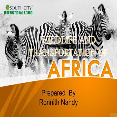 Wildlife and Transportation of Africa
