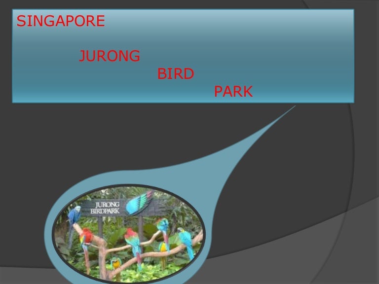 Wildlife animal sanctuary in singapore