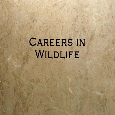Wildlife careers powerpoint