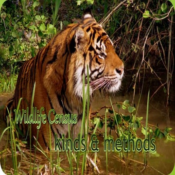 Wild life census kinds and methods copy | PPTX