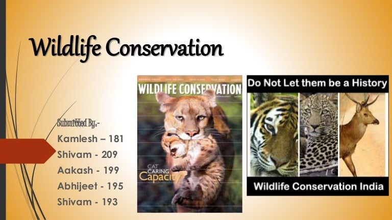 presentation-on-wildlife-conservation