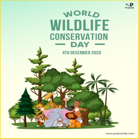 Wildlife conservation day 2020 