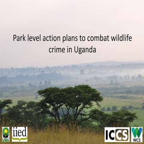 Park level actions to combat wildlife crime in Uganda