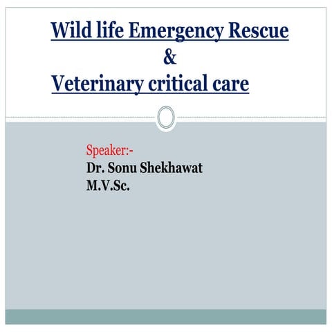 Wildlife emergency rescue