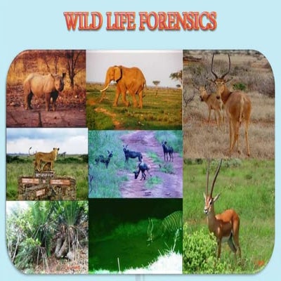 Wild life forensics
