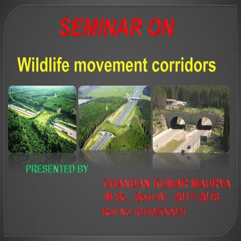 Wild life movement corridor by chandan, bhu