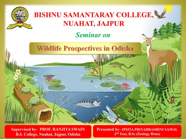 wild life of Odisha.pptx
