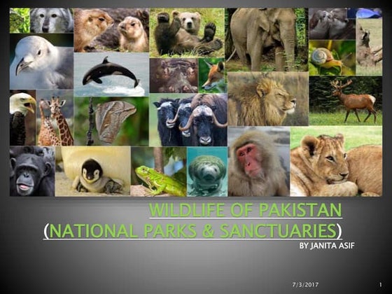 LAL SUHANRA NATIONAL PARK-1.pptx Pakistan | PPT
