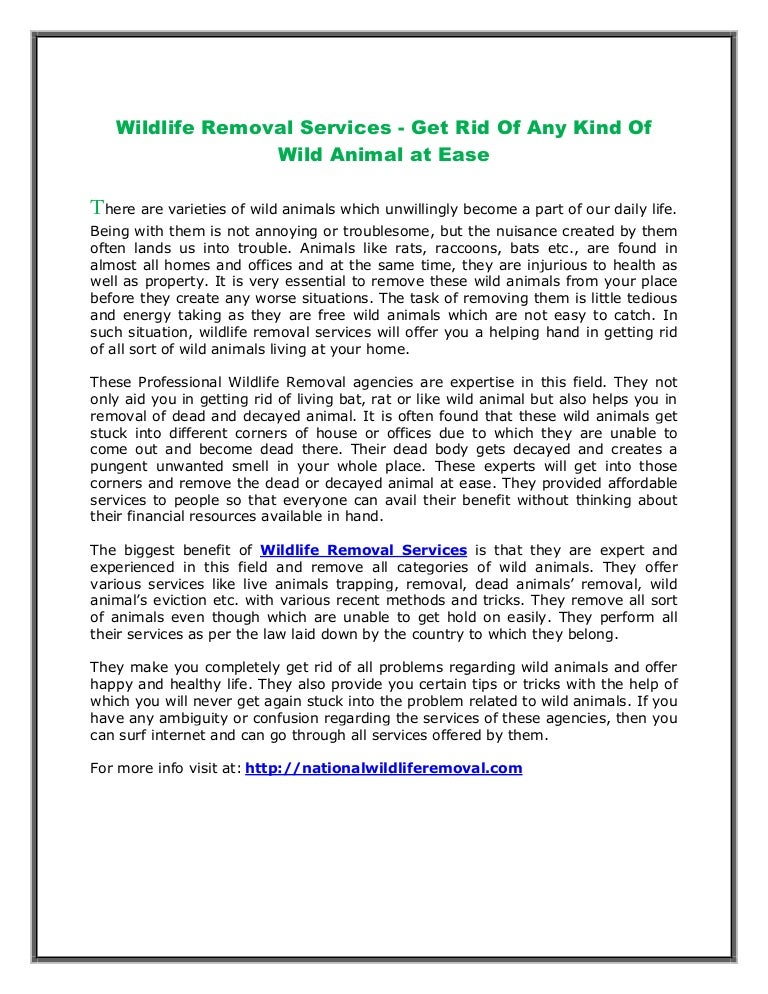 Wildlife Removal Services - Get Rid Of Any Kind Of Wild Animal at Ease