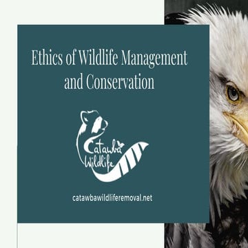 Ethics of Wildlife Management and Conservation | Wildlife Removal | Charlotte NC