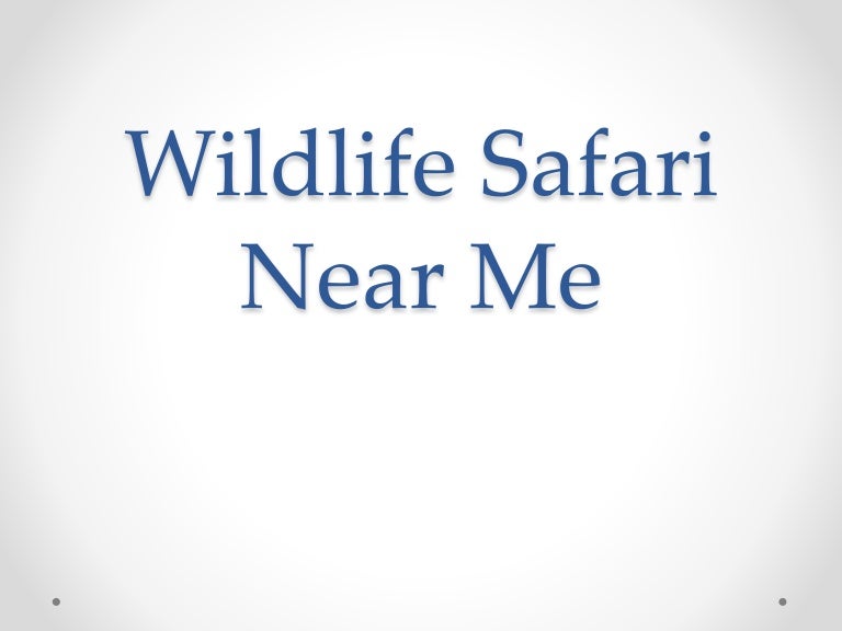 wild safari near me wild safari near me