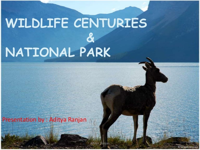 Download Ppt On Wildlife Conservation In India