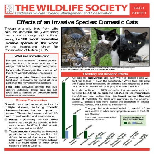 Wildlife Society Fact Sheet Effects of Invasive Species Domestic Cats