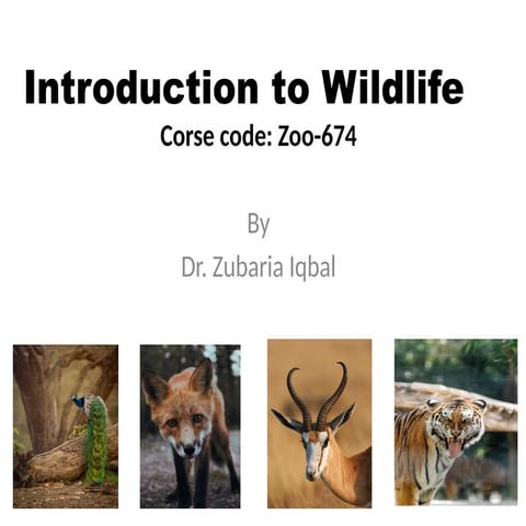 Animal tracking | PPT