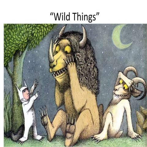 Wild things