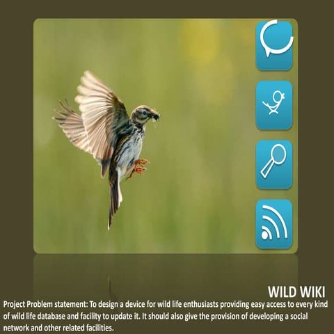 Wild Wiki App Concept Ppt