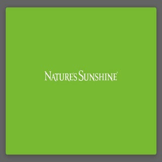 Презентация БАД Дикий Ямс НСП