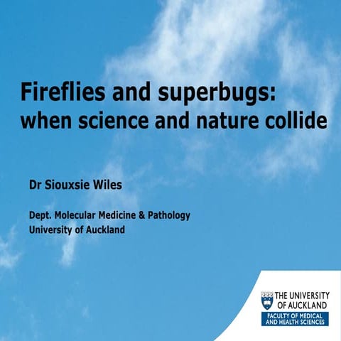 Fireflies &amp; superbugs: when science &amp; nature collide