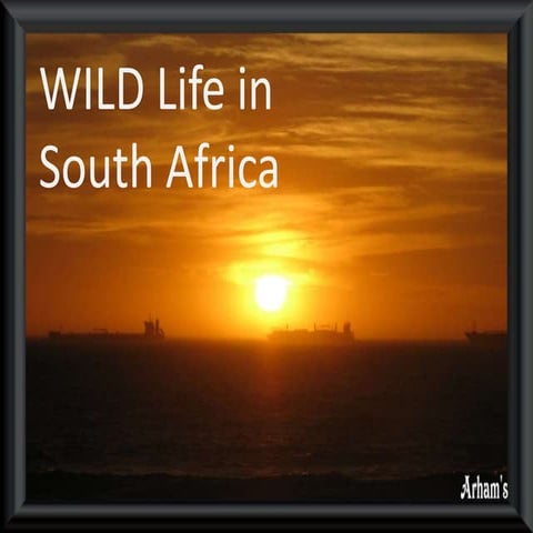 Wild life SA 1