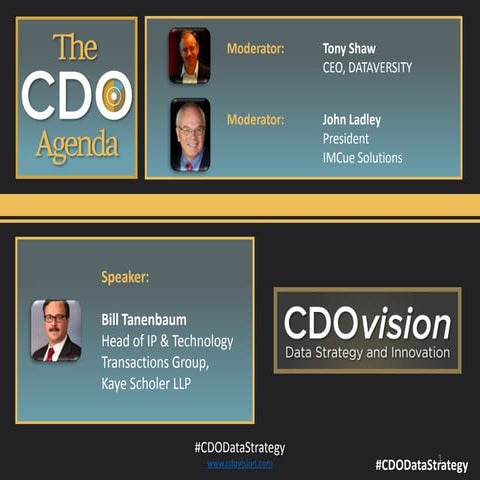 Chief Data Officer Agenda Webinar: How CDOs Should Work with Lawyers