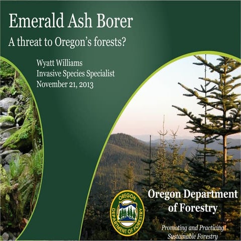 Emerald Ash Borer 11.21.13 -Wyatt Williams, ODF