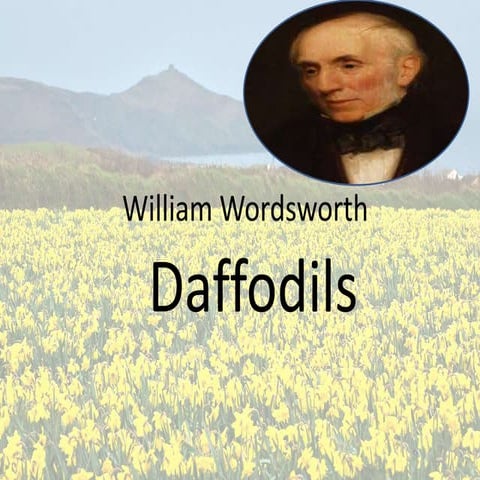 William wordsworth daffodils poem  lesson plan Turkey Turkiye