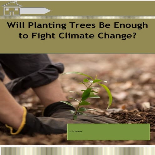 Will planting trees be enough to fight climate change