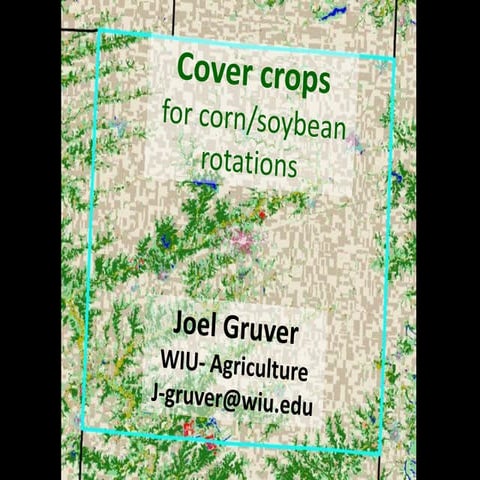 Cover crops for corn/soybean rotations