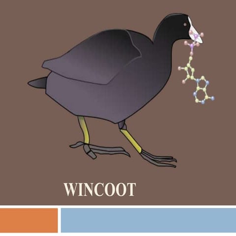 Wincoot