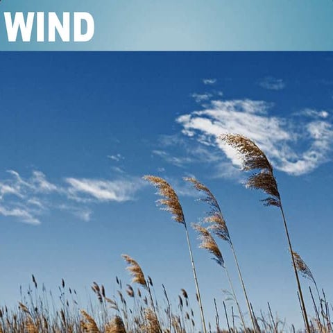 Wind - Introduction, Effects, Forces and Instruments.