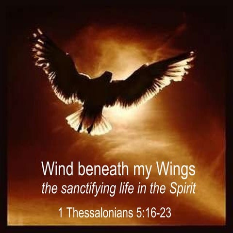 Wind.beneath.my.wings