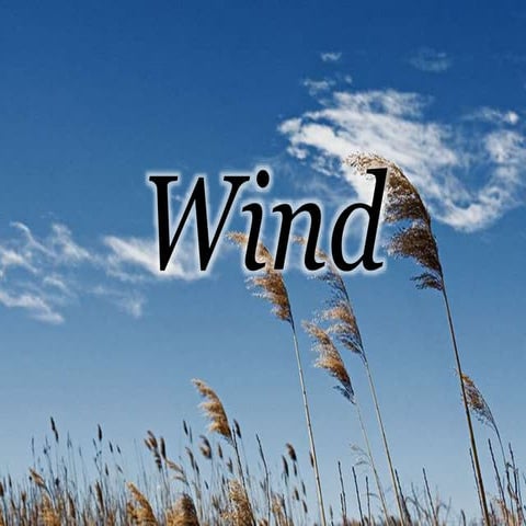 Wind