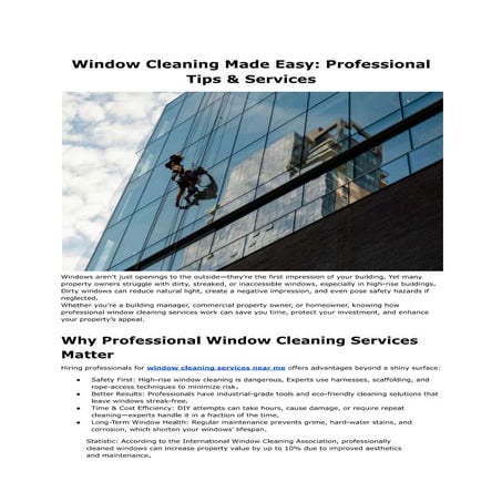 Window Cleaning Made Easy: Professional Tips & Services | PDF