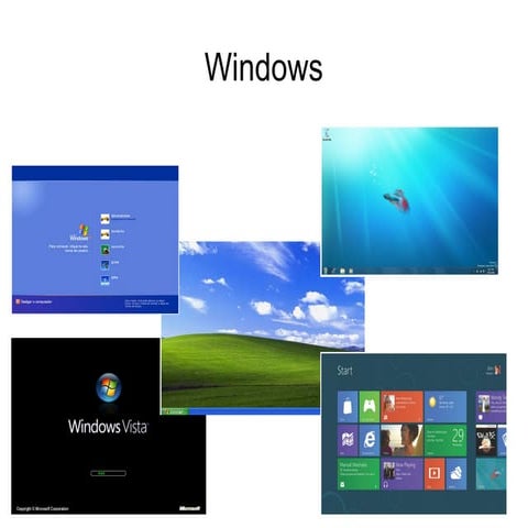 Versões Windows e Gerenciamento de Usuários