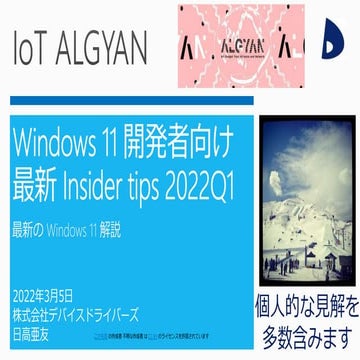 Windows 11 insider tips for developer