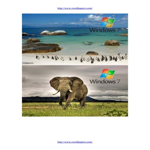 Windows 7 wallpaper