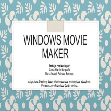 Windows movie maker
