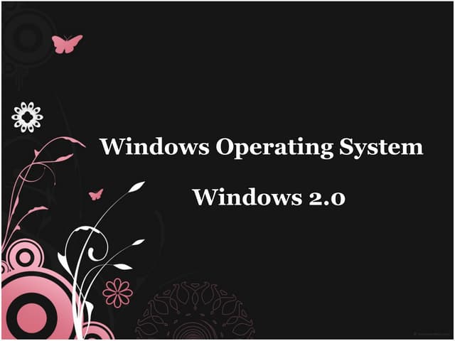 Windows 2.0