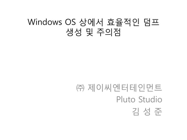 Windows os 상에서 효율적인 덤프
