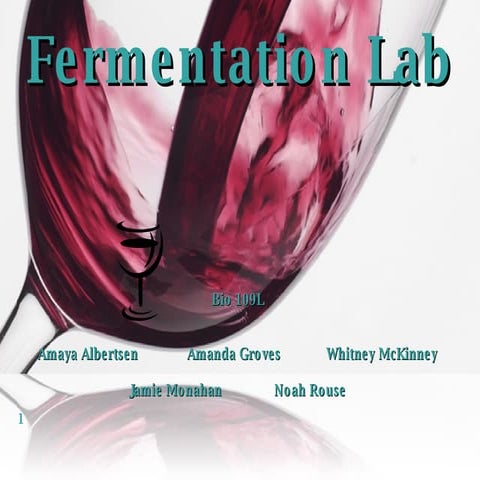Wine Lab Bio1092