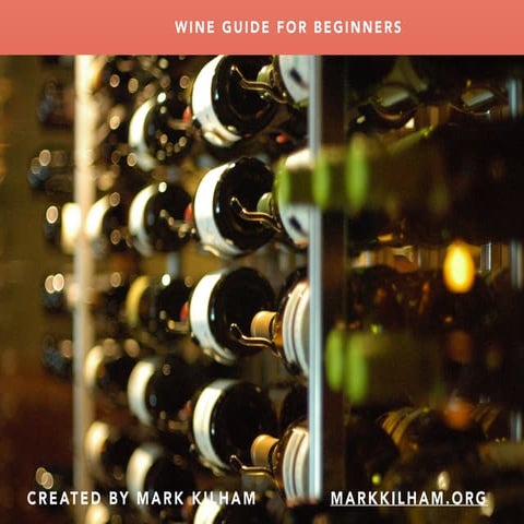 Wine Guide for Beginners