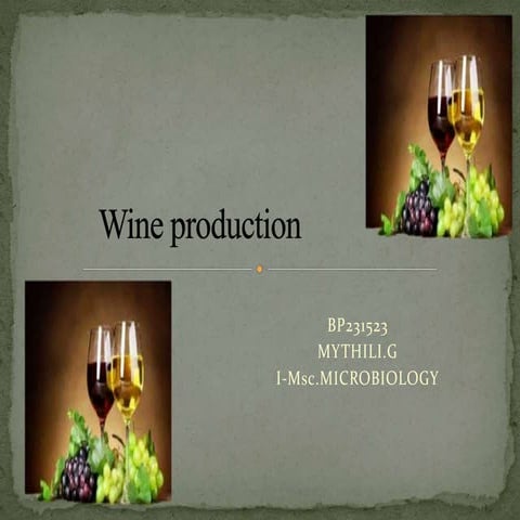 wine production (large scale production).pptx
