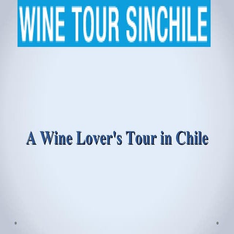 A Wine Lover's Tour in Chile